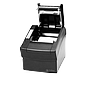 Impresora 3NSTAR RPT010